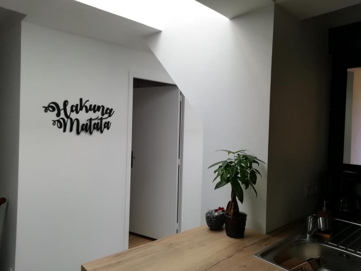 Au Rythme De Concarneau Apartment Exterior foto